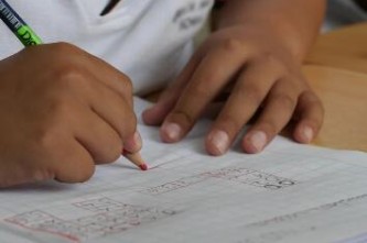 明日猪价格最新行情预测分析？